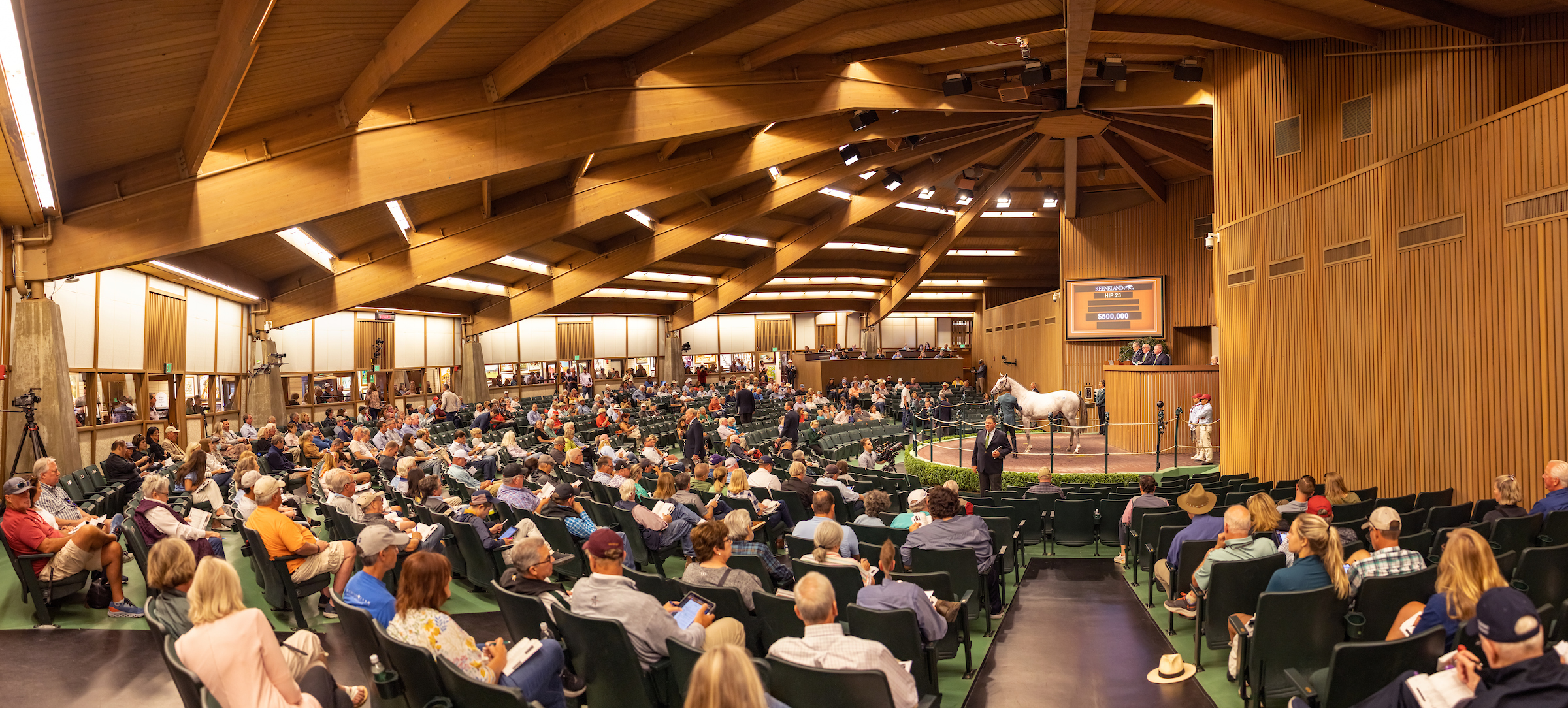 Avoiding Costly Mistakes at Auction: A Buyer’s Guide